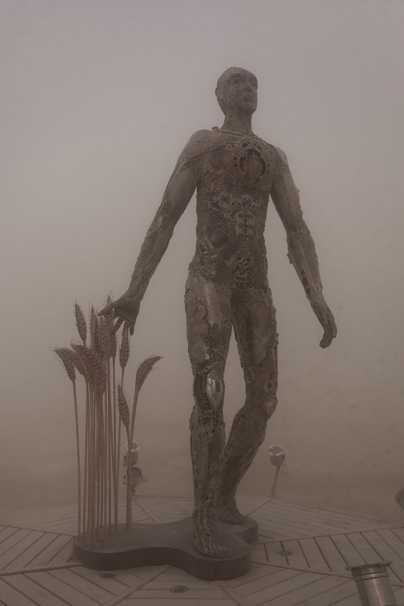 Passage by: Dana Albany from: San Francisco, CA year: 2018 Passage is an installation of a man, in a captive gesture, leisurely walking while its hand sweeps through stalks of wheat. The sculpture clearly highlights characteristics of a human form; muscle, sinuous tendon, sculpted hands, feet. Yet, it's a composite of mechanical debris and steel. Viewers may hypothesize, is this a man? is it part robot? and what is the blurry fine-line between each? The other huge component is the presence of the wheat. It symbolizes abundance, life, fertility. It is food, subsistence, of which without, the human race would be extinct. Viewers can look closer at the inherent beauty of the human form, contemplate mechanics/technology or most importantly, be reminded of our absolute reliance on nature in the end.