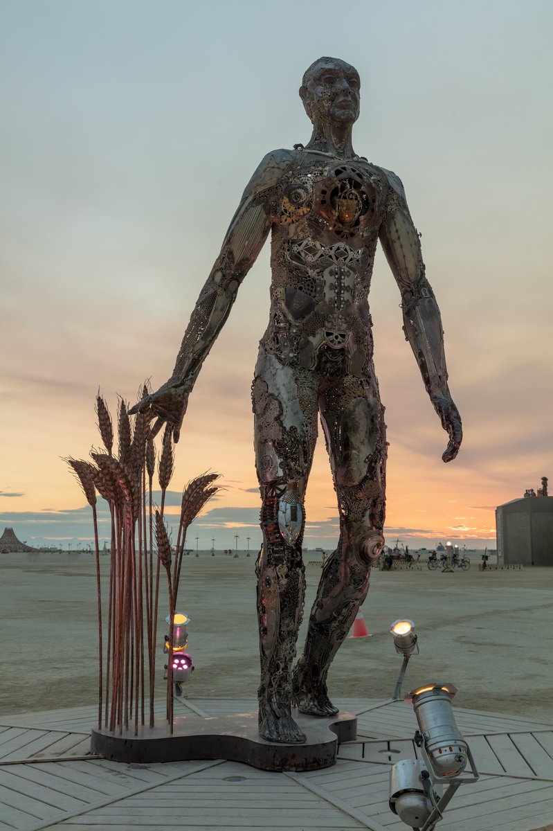 Passage by: Dana Albany from: San Francisco, CA year: 2018 Passage is an installation of a man, in a captive gesture, leisurely walking while its hand sweeps through stalks of wheat. The sculpture clearly highlights characteristics of a human form; muscle, sinuous tendon, sculpted hands, feet. Yet, it's a composite of mechanical debris and steel. Viewers may hypothesize, is this a man? is it part robot? and what is the blurry fine-line between each? The other huge component is the presence of the wheat. It symbolizes abundance, life, fertility. It is food, subsistence, of which without, the human race would be extinct. Viewers can look closer at the inherent beauty of the human form, contemplate mechanics/technology or most importantly, be reminded of our absolute reliance on nature in the end.
