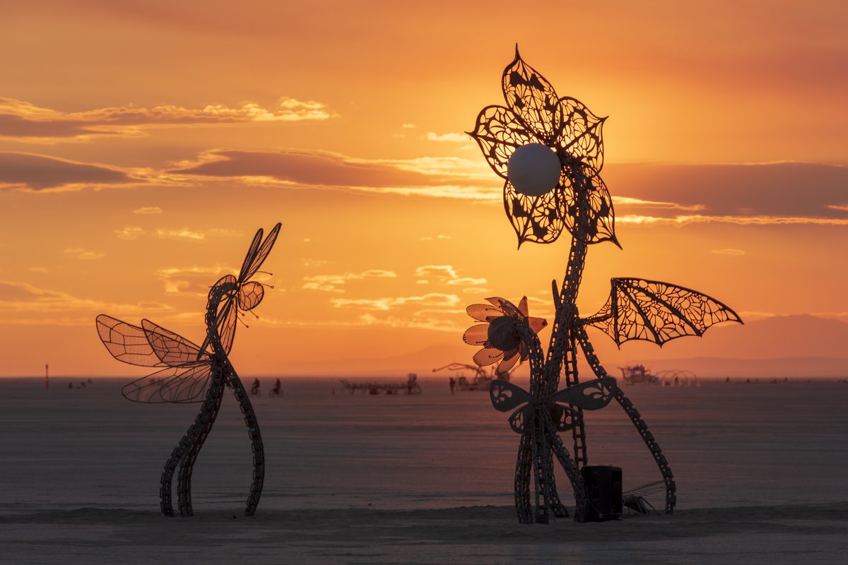 Plantoid Garden: A Blockchain-based Life-form, Featuring the Photo-synthesizer by: Primavera De Filippi & Okhaos Creations from: Paris, France year: 2018