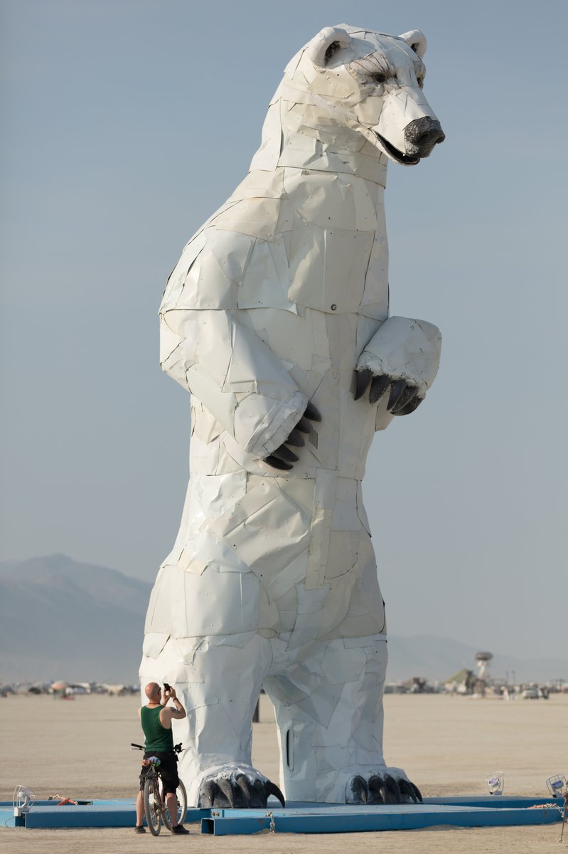 Long View, A Polar Bear Stands in the Desert by: Don Kennell and Arctic Burn 505 from: Santa Fe, NM year: 2018