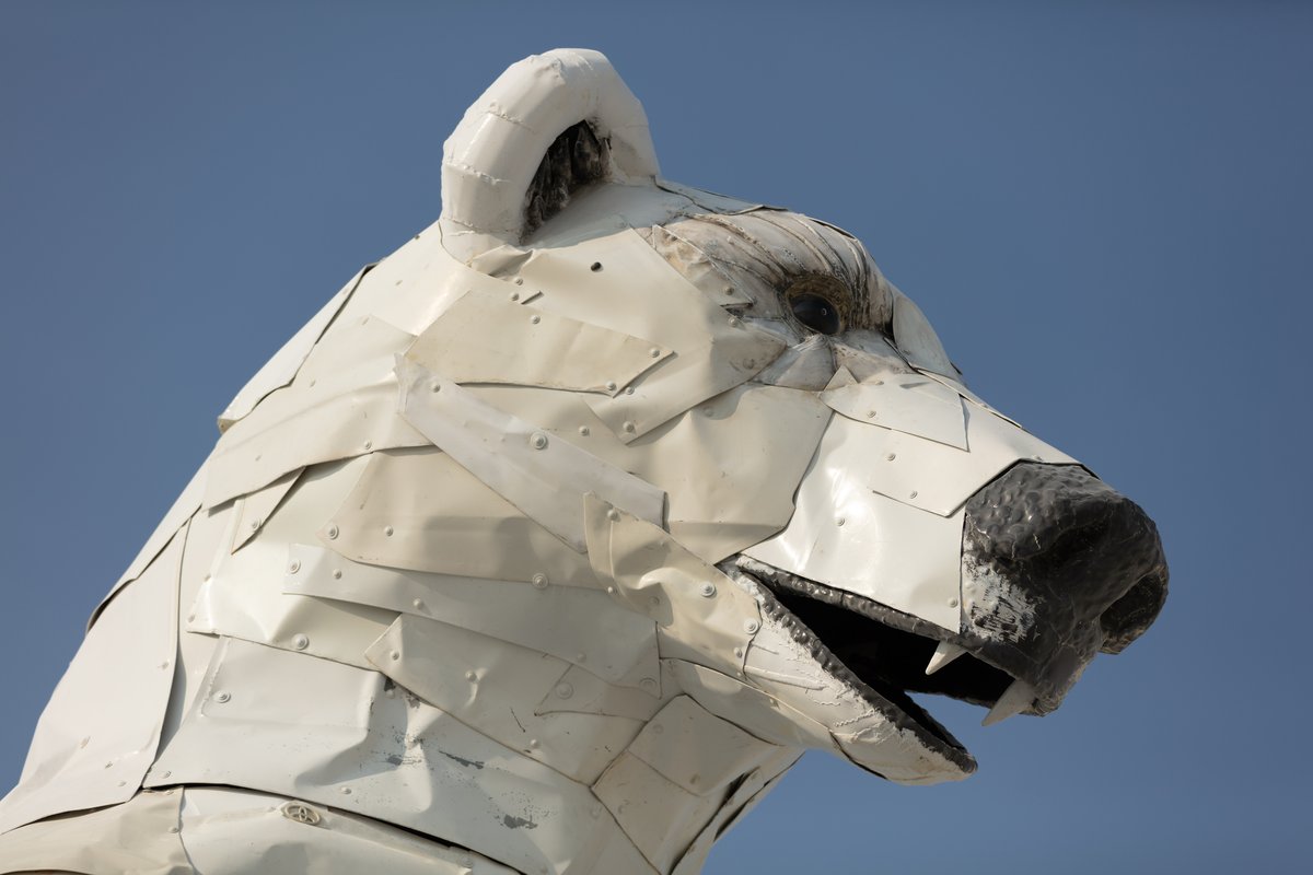 Long View, A Polar Bear Stands in the Desert by: Don Kennell and Arctic Burn 505 from: Santa Fe, NM year: 2018