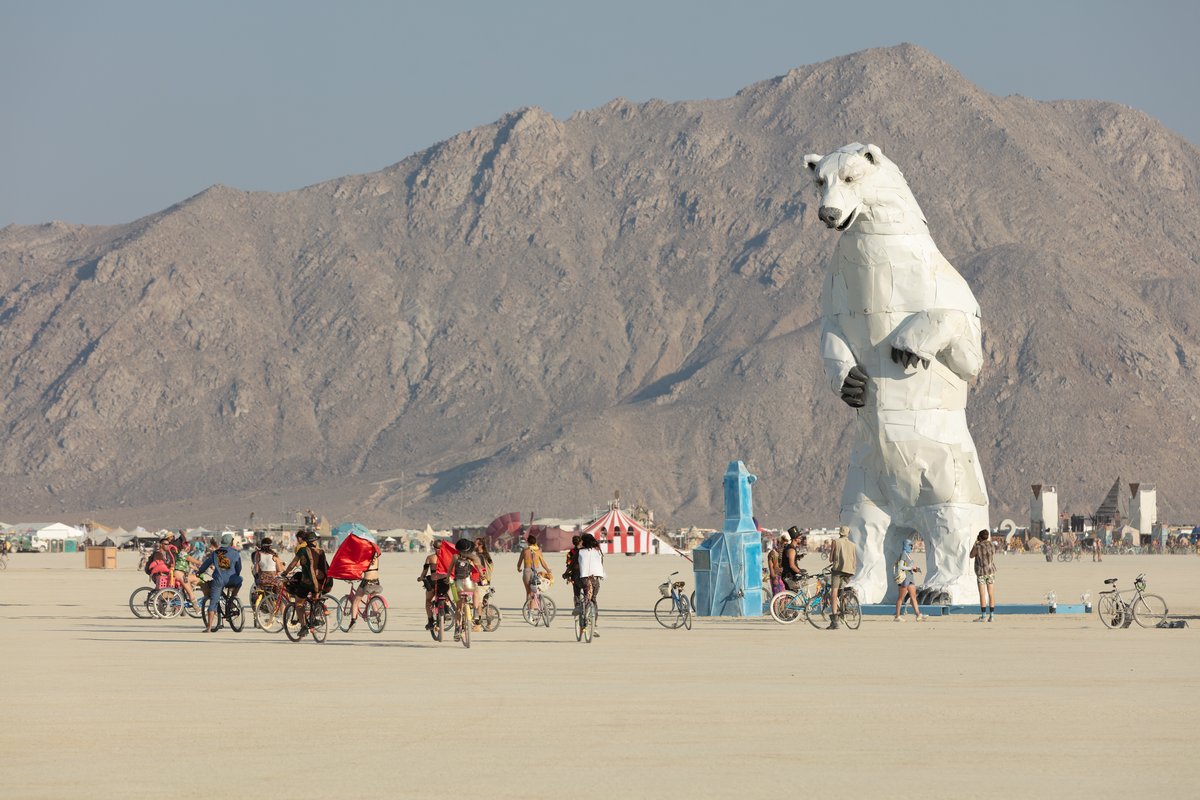Long View, A Polar Bear Stands in the Desert by: Don Kennell and Arctic Burn 505 from: Santa Fe, NM year: 2018
