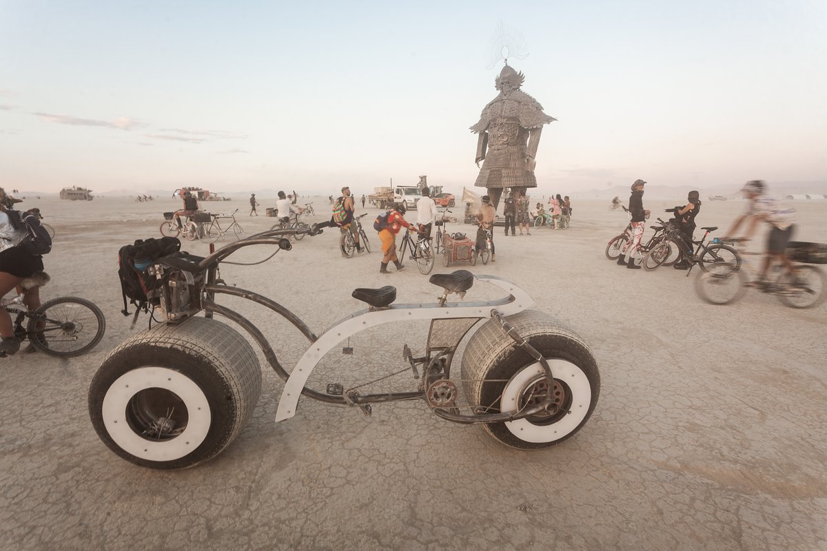 Desert Guard by: Lu Ming from: Beijing, China year: 2018
