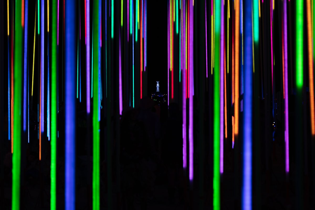 Hexatron by: Mark Lottor from: Menlo Park, CA year: 2018 A forest of 486 20ft tall LED light poles, arranged in a hexagon shape of approximately 90ft diameter, displaying 3D computer contr'd effects.