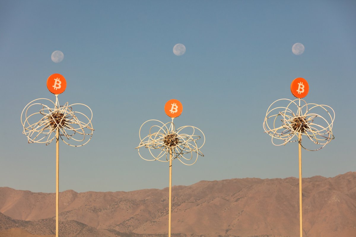 Crypto Forest by: Geo Landrum from: Oak Creek, WI year: 2018 To the moon(s)