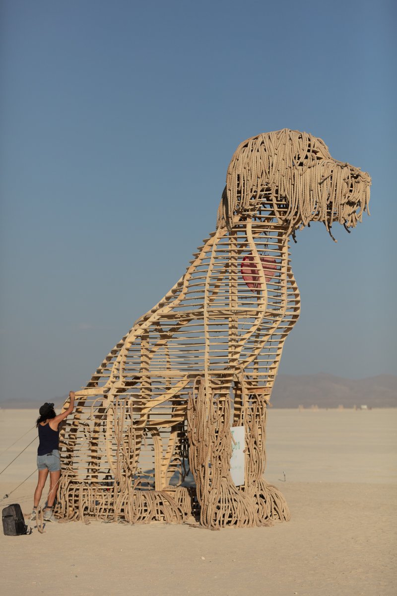 DOT the Dog by: TBC from: Los Angeles, CA year: 2018