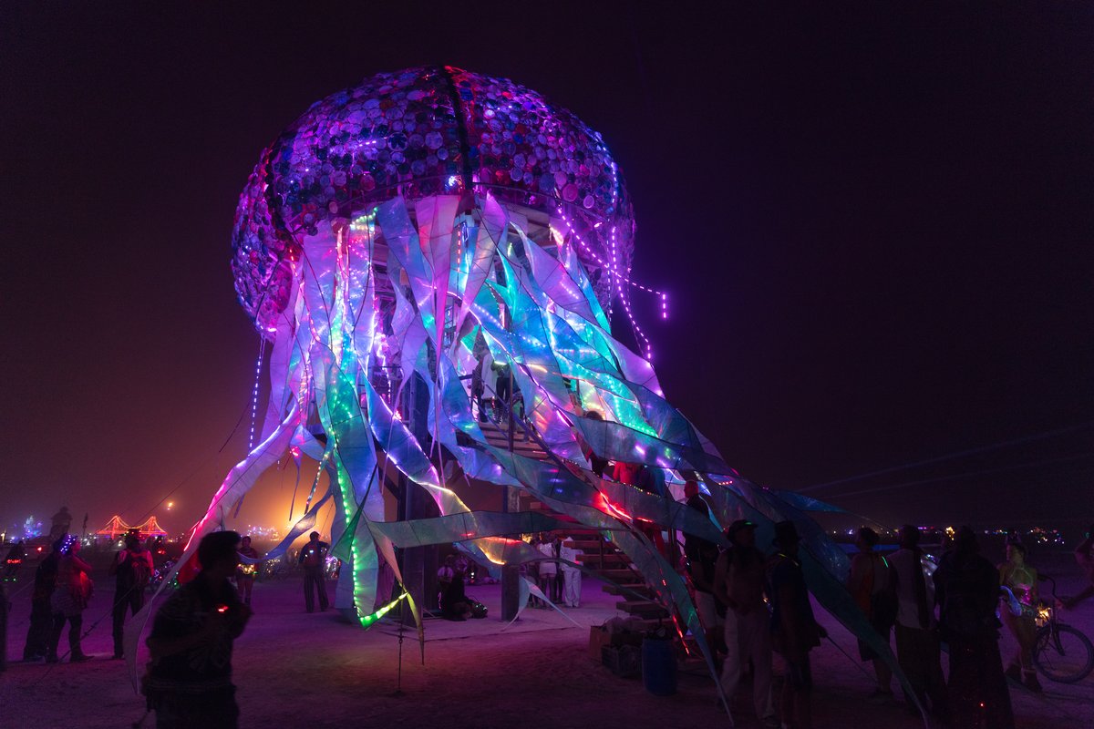 Bloom by: Peter Hazel from: Reno, NV year: 2018