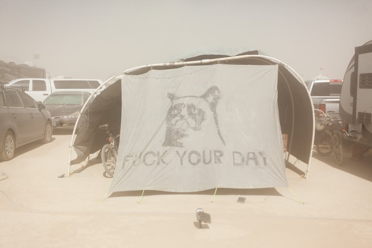 Grumpy Cat Says Fuck Your Day (RIP Grumpy Cat)