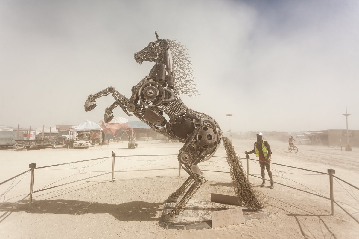Rearing Horse by: Barry Crawford from: Elko, NV year: 2018 (This piece was incredible. The handles on the fence turn and as you turn them subtle pieces of the horse would move. If you look at there is no visible connection from the handles to the piece. Absolutely outstanding piece of work.)