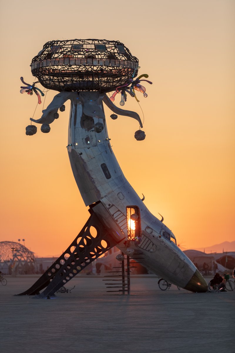 Lodestar by: Randy Polumbo from: New York, NY year: 2018 Lodestar is made of an old military jet that has been involuntarily blossomed into a contemplative flower and gathering place for human pollinators. URL: http://polumbo.com