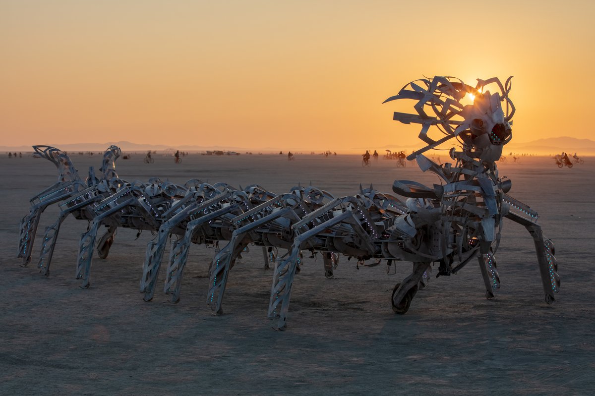 Myriapoda Robota by: David Date, David Han and Art to Be Continued Collective from: La Selva Beach, CA year: 2018 In the future, after the planet's natural resources have been depleted, a mechanical centipede wanders lost in deep playa. Scared and alone, she shies away from help but through repeated gifts of kindness from the citizens of Black Rock City, she opens up and discovers her Home on the Playa! URL: http://www.myriapodarobota.com