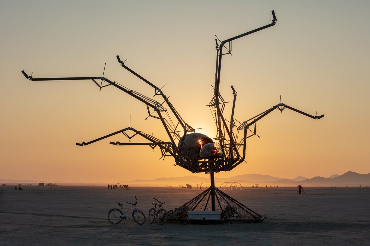 Spider Sweet by: Bryan Argabrite from: Santa Cruz, CA year: 2018
