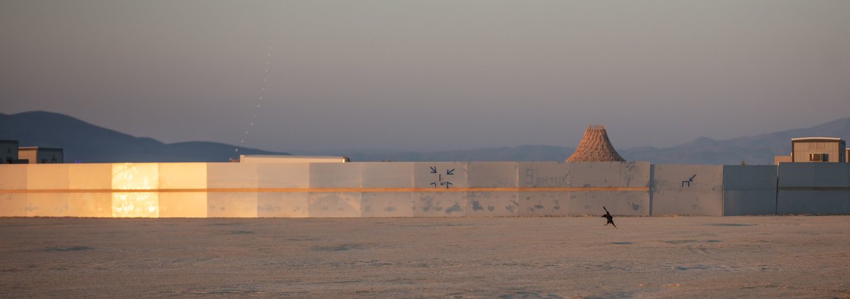 I love seeing birds on the playa.