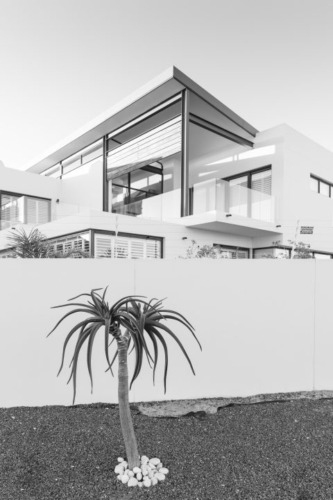 Plant and House