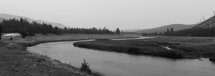 Madison River Yellowstone National Park