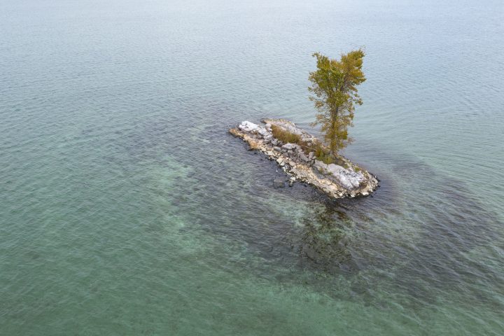 Small Island With One Tree 01