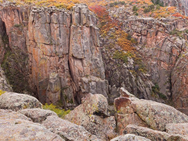 Vegetation on the Cliffs at Black Canyon of the Gunnison National Park