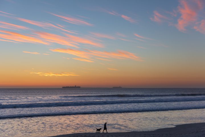 Man and Dog on the Beach