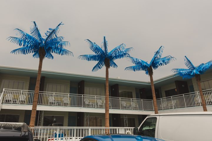Four Plastic Palm Trees