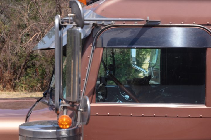 Dog in a Semi Truck
