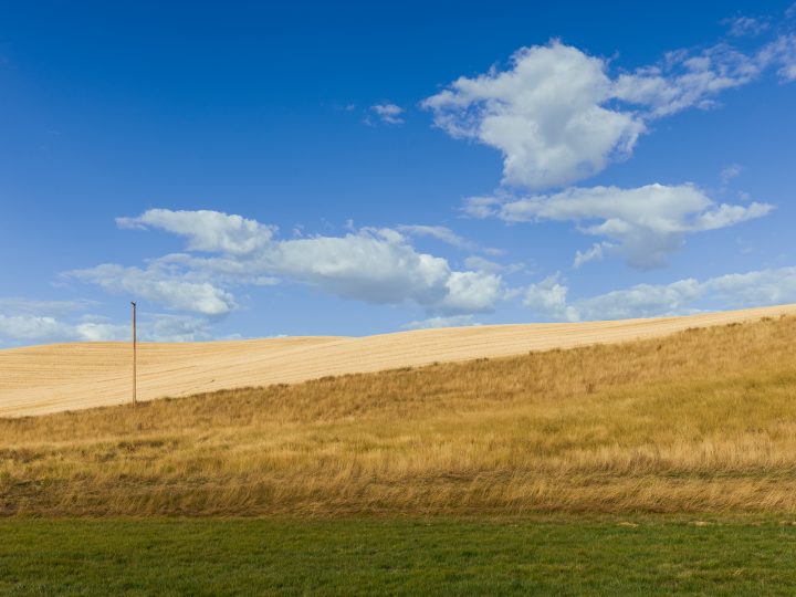 Field and Pole