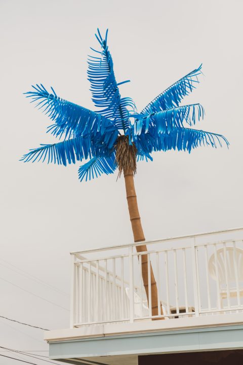 Plastic Palm Tree