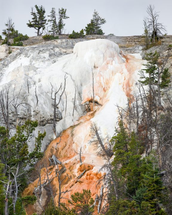 Upper Terraces Mammoth Hot Springs