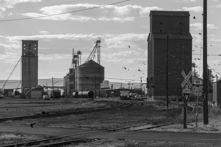 Train Tracks and Grain Elevators