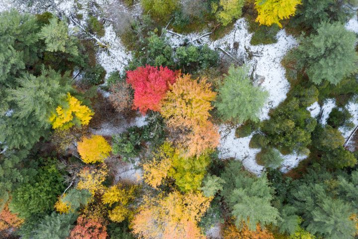 First Snow and Fall Colour from Above