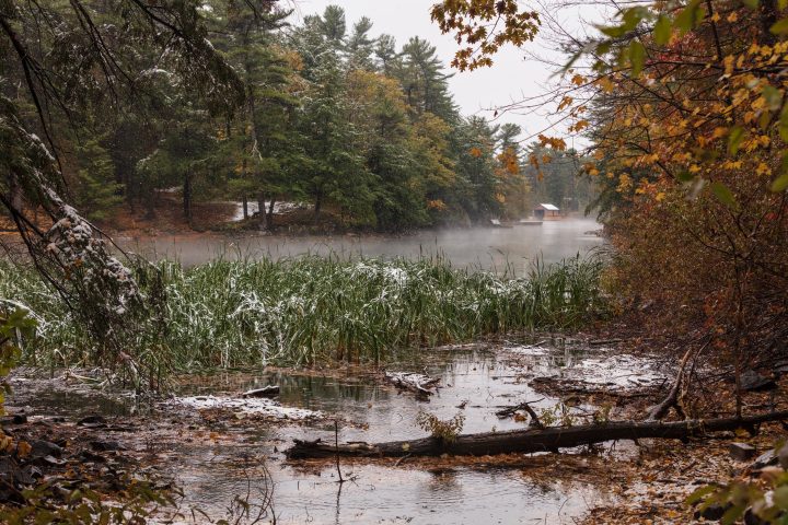Smugglers Cove in the Snow and Fog