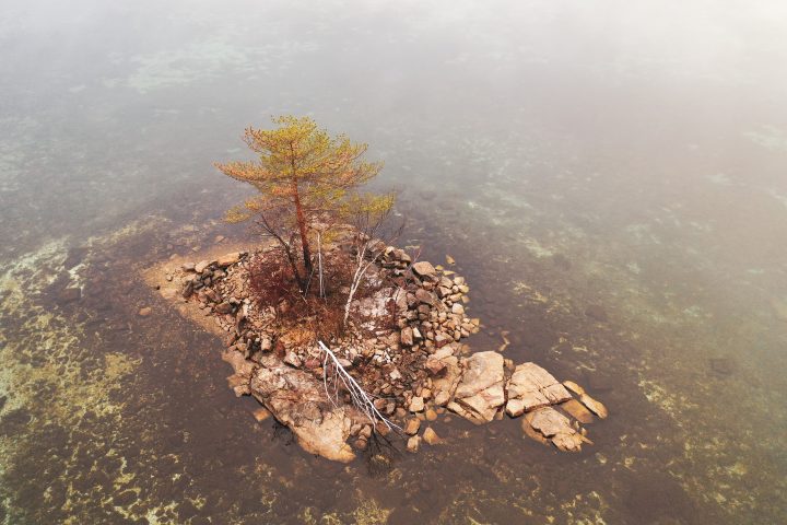 Small Island With One Tree 03