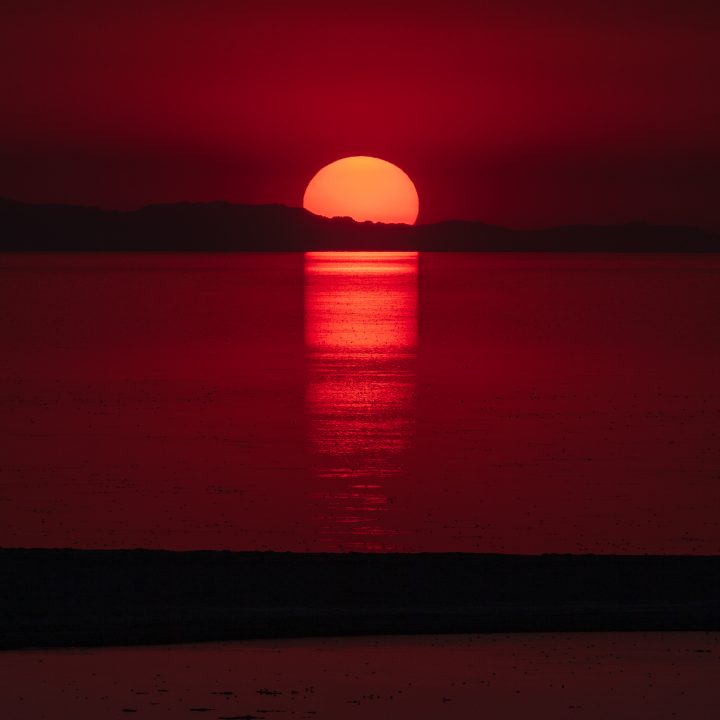 Setting Sun and Birds At Great Salt Lake