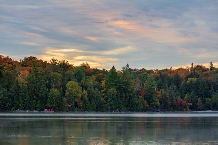 Morning in Algonquin Park