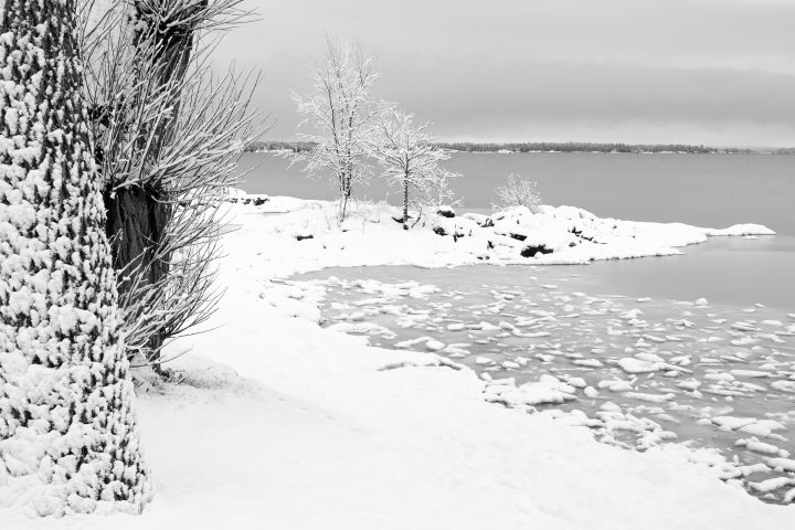 Brown’s Bay in the Snow