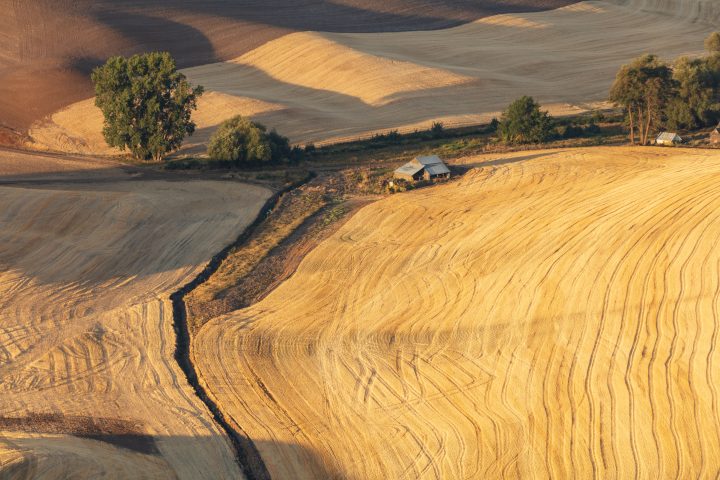 Steptoe Butte Morning