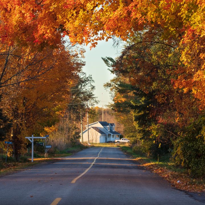 House and Fall Color