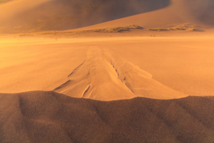 Playing with Perspective on the Dunes