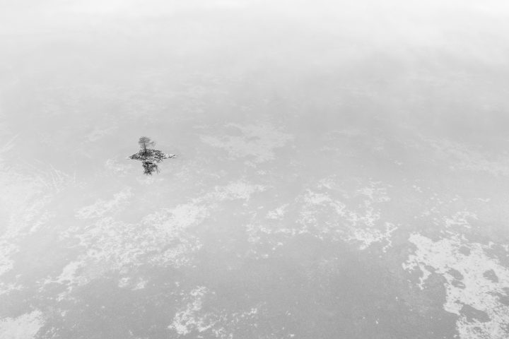 Small Island With One Tree 04