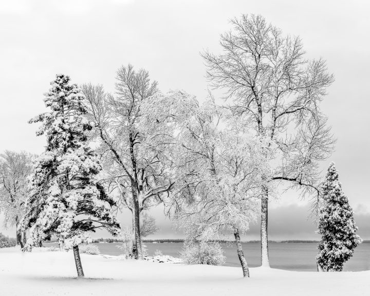 Brown’s Bay in the Snow 02
