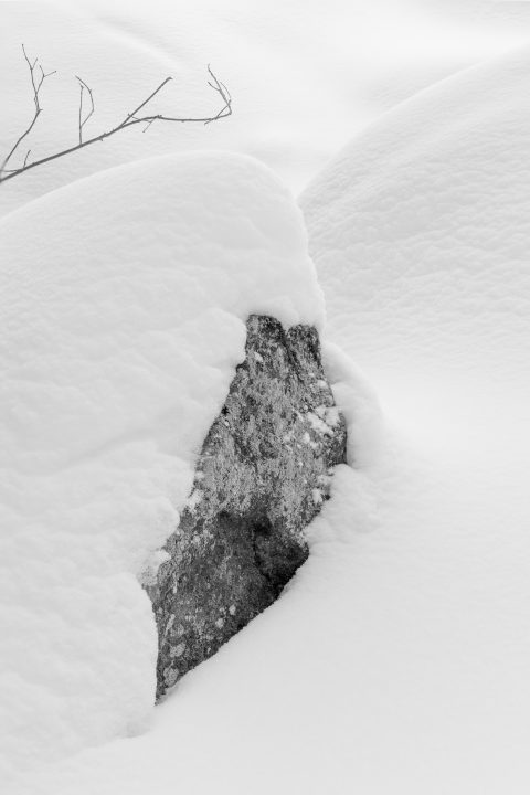 Twig and Stone in the Snow