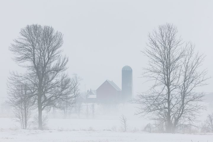 Farm and Trees in the Fog