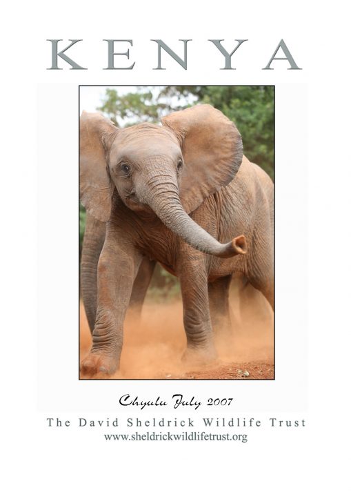 A recent photograph of Chyulu