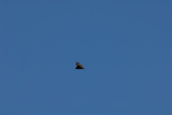 DER_0167