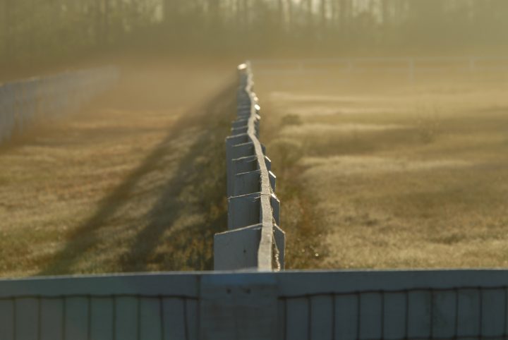 DER_0229