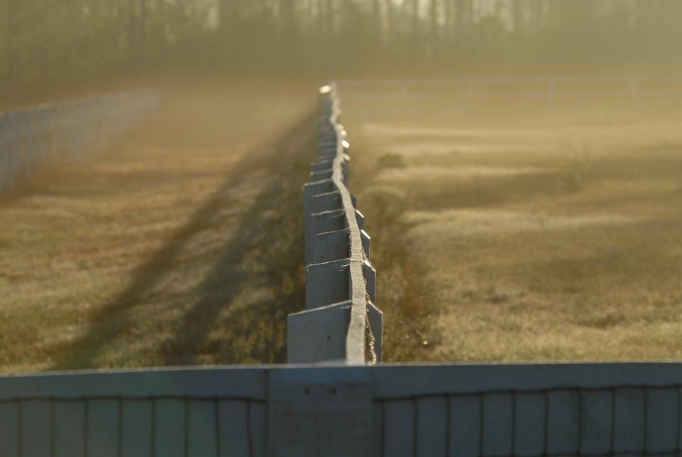DER_0229