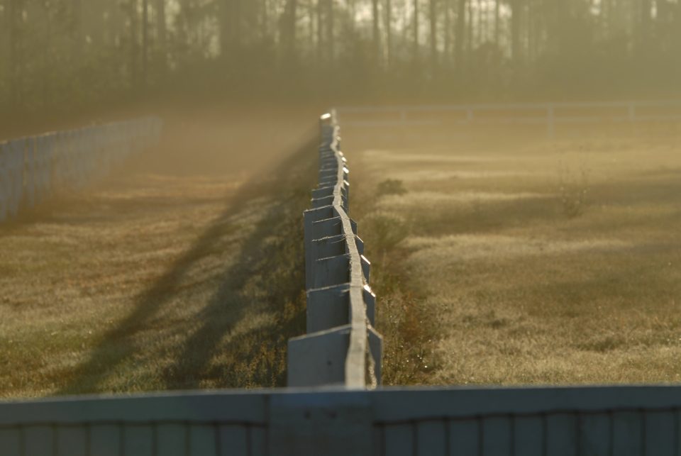 DER_0232