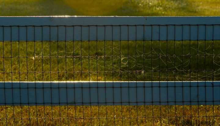DER_0248