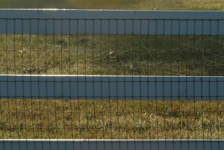 DER_0249