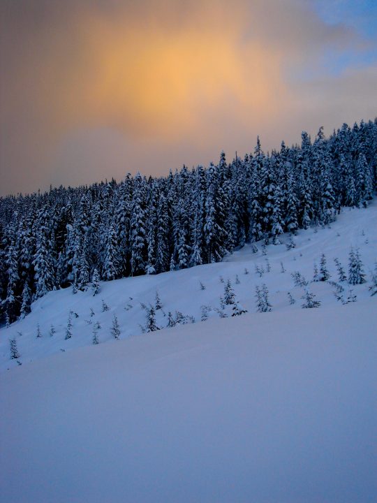 mmmm powder