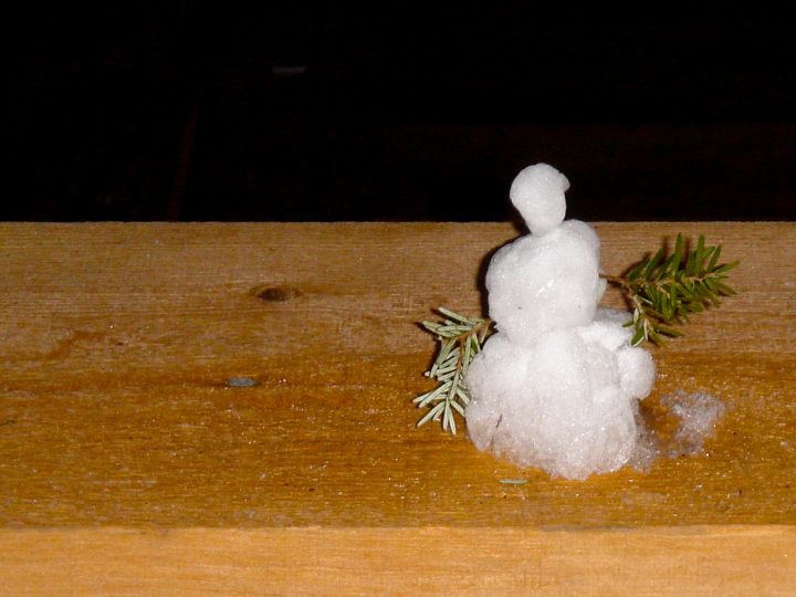 tiny snowman